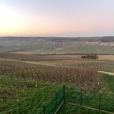 Mirroir En Champagne, Jusque 10 Voyageurs