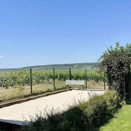 Holiday home Mirroir En Champagne, Jusque 10 Voyageurs *